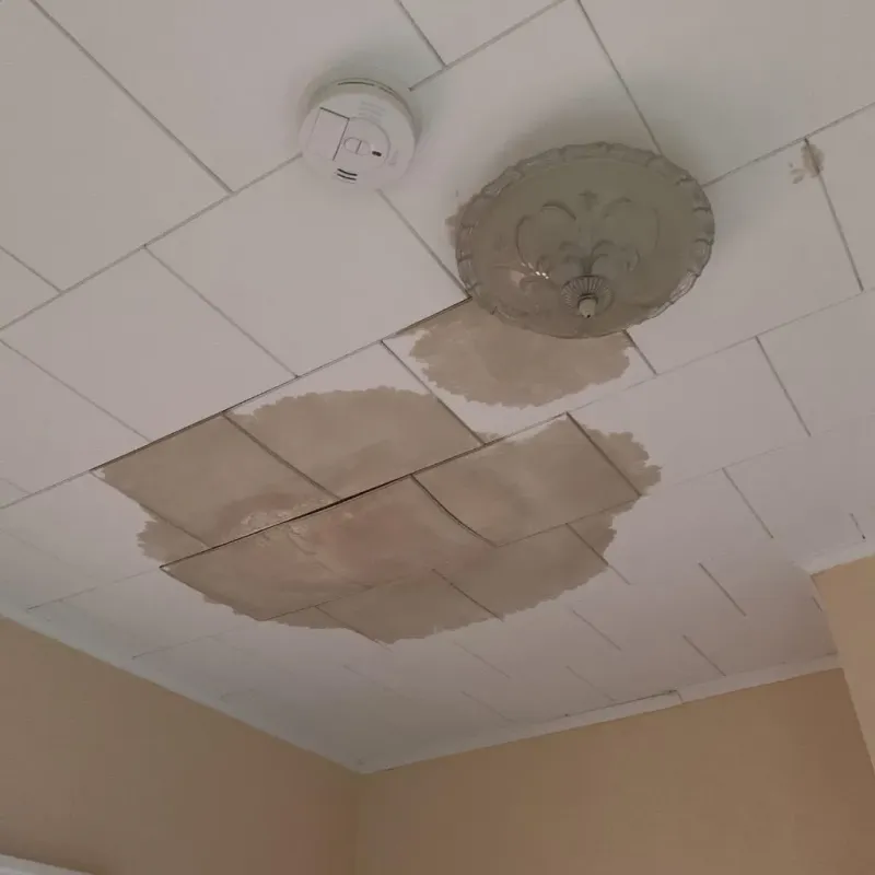 Ceiling Water Damage Repair in Marion Center, MA