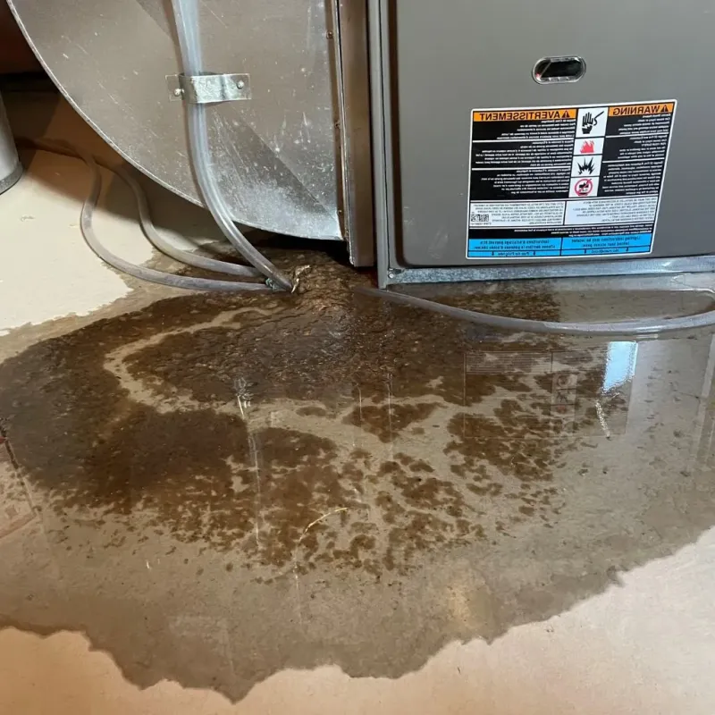 Pipe Burst and Leak Restoration in Marion Center, MA